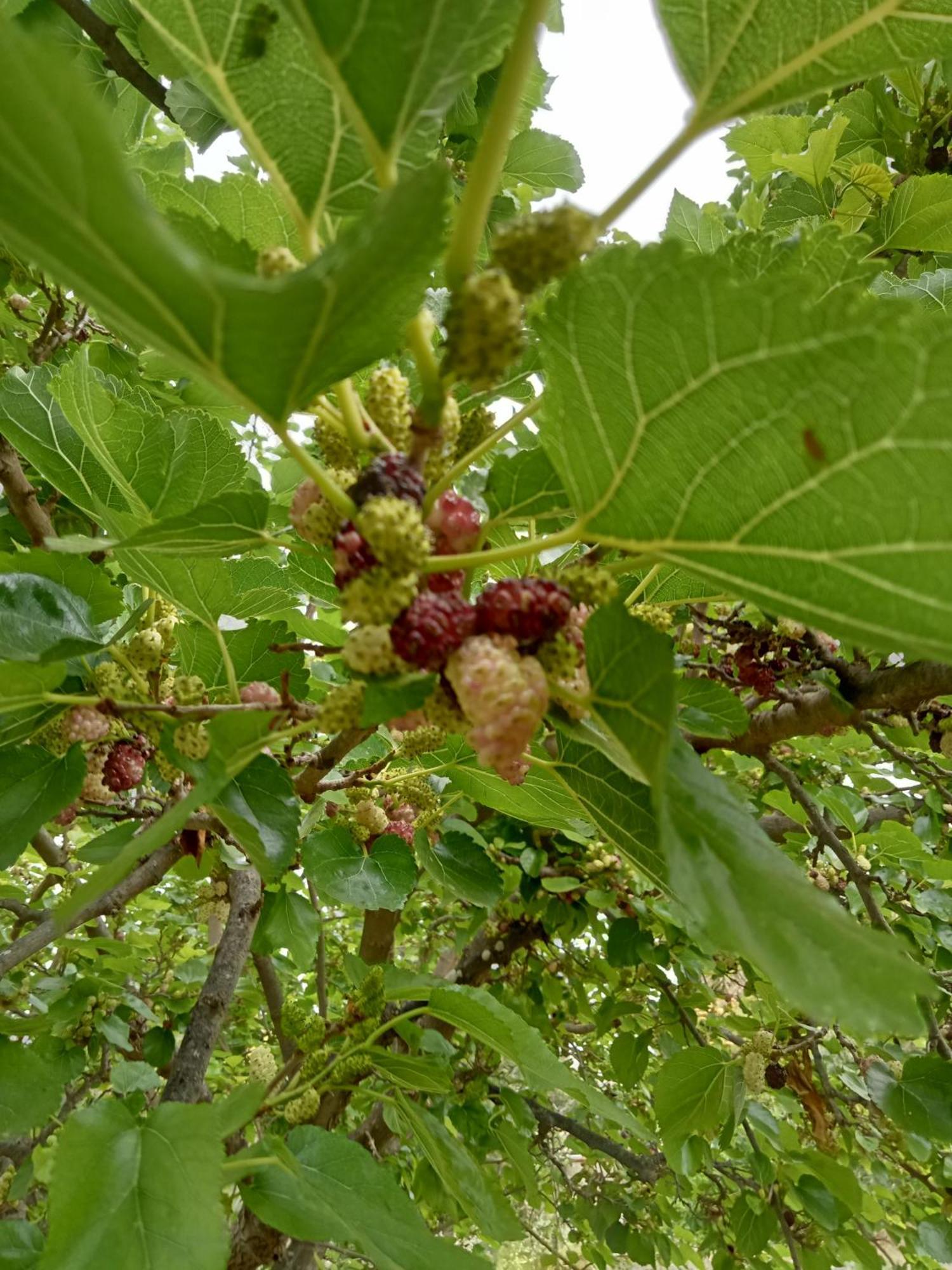 Agriturismo Adenzia 恩佩多克莱港 外观 照片