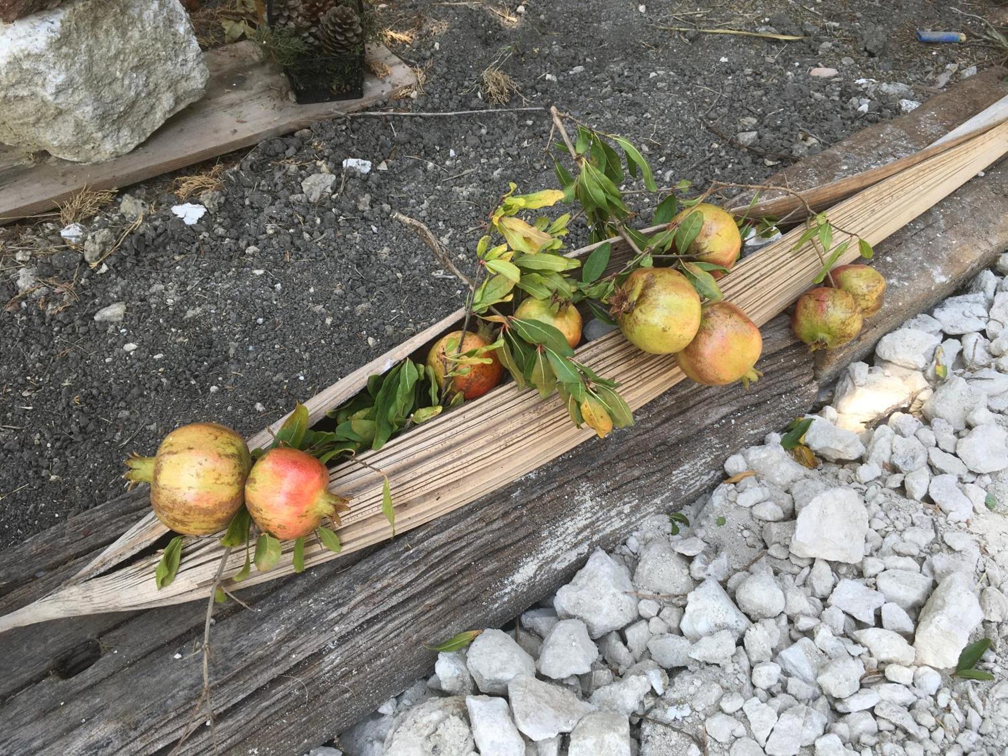 Agriturismo Adenzia 恩佩多克莱港 外观 照片