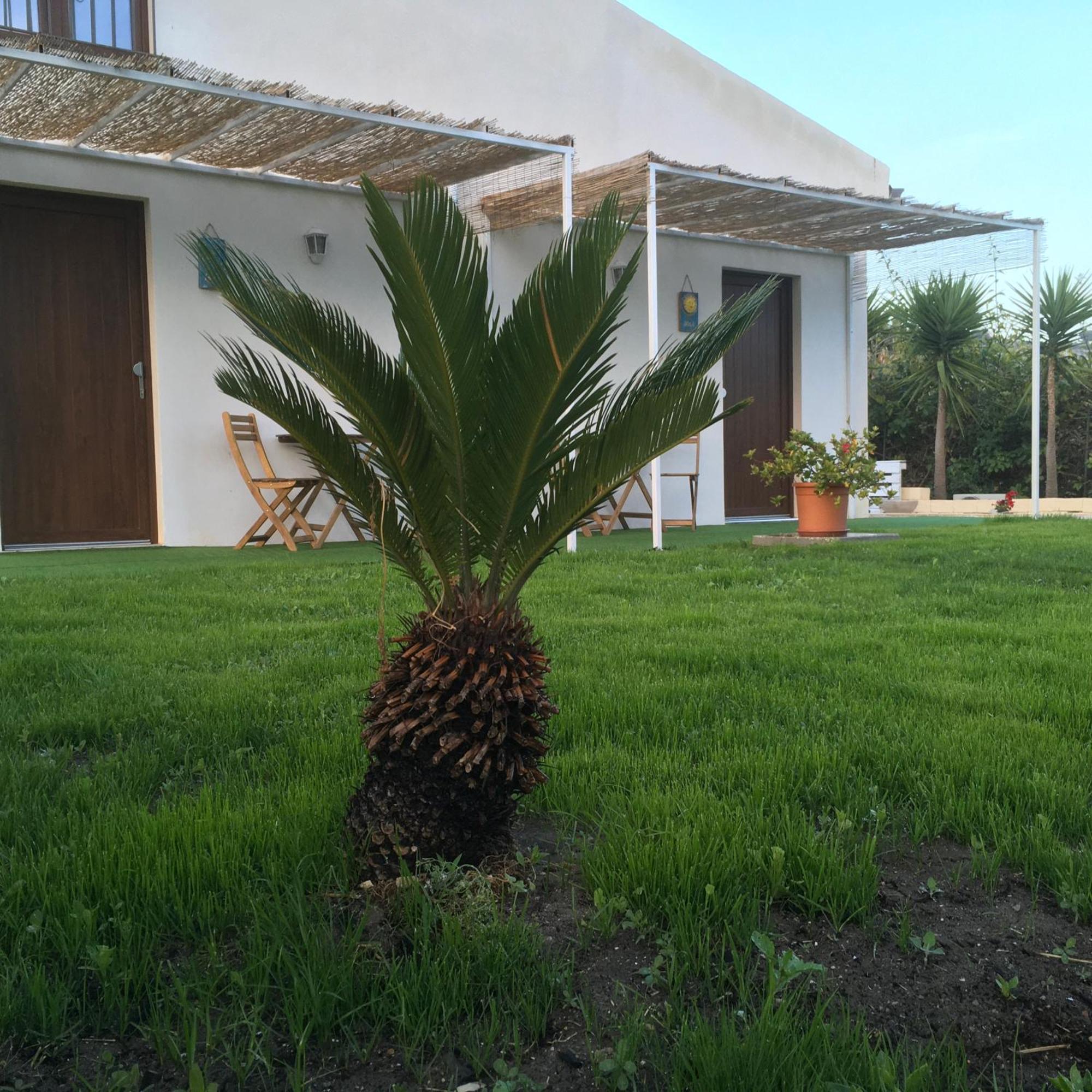 Agriturismo Adenzia 恩佩多克莱港 外观 照片