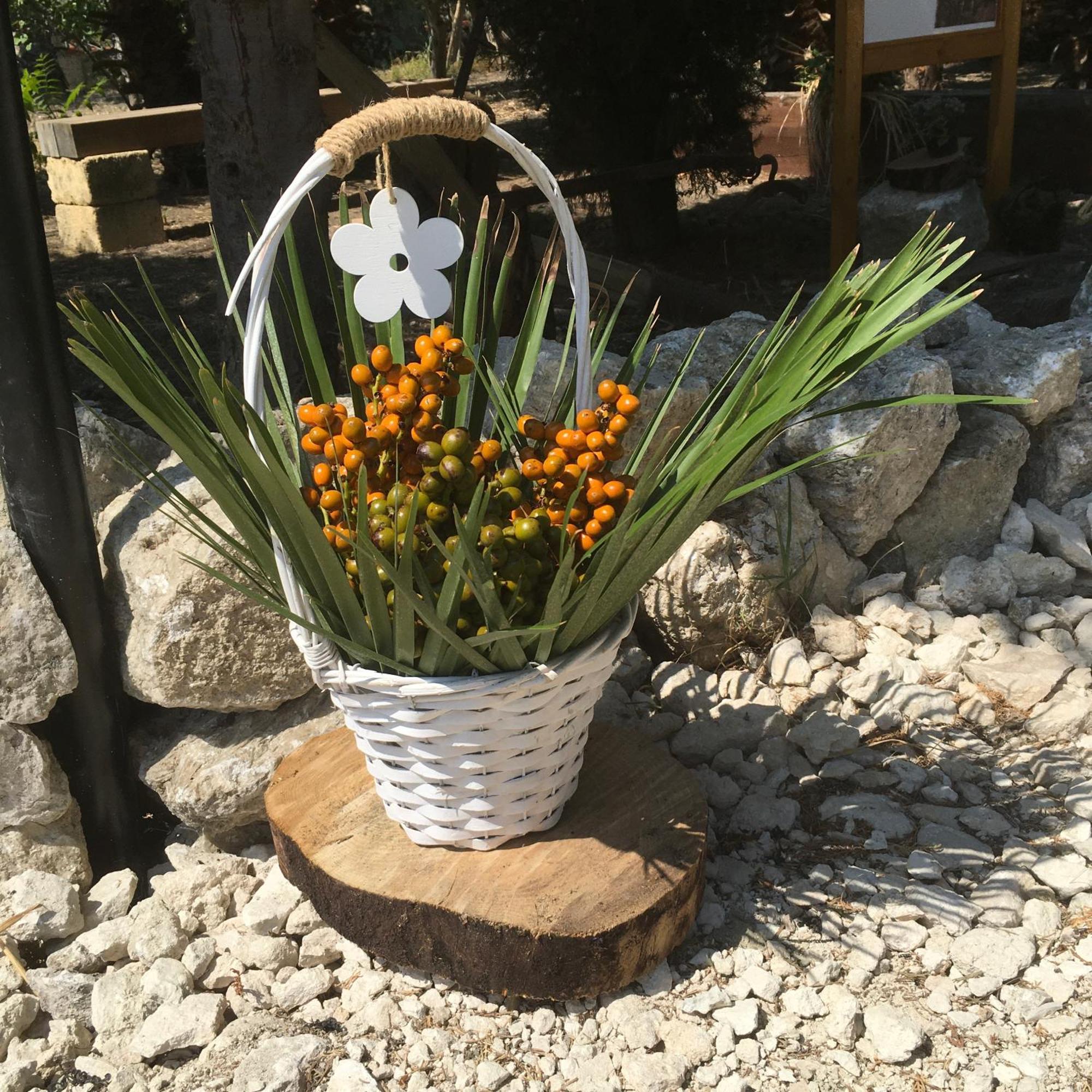 Agriturismo Adenzia 恩佩多克莱港 外观 照片